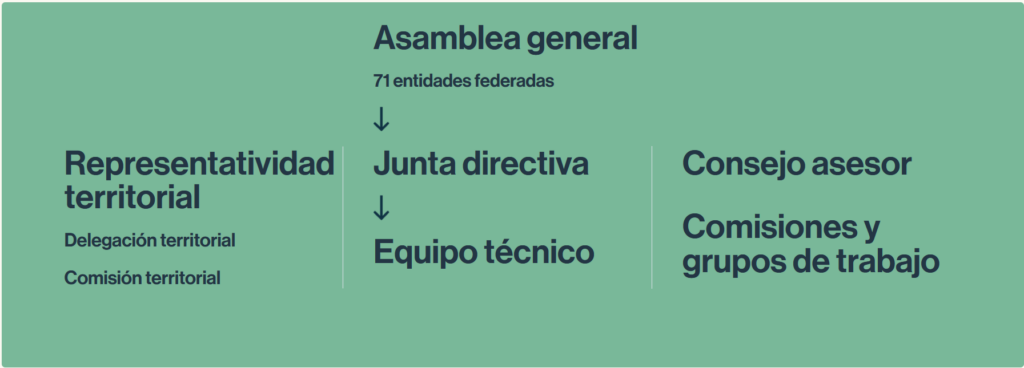 Imagen en la que se ejemplifica el organigrama de FEPA.